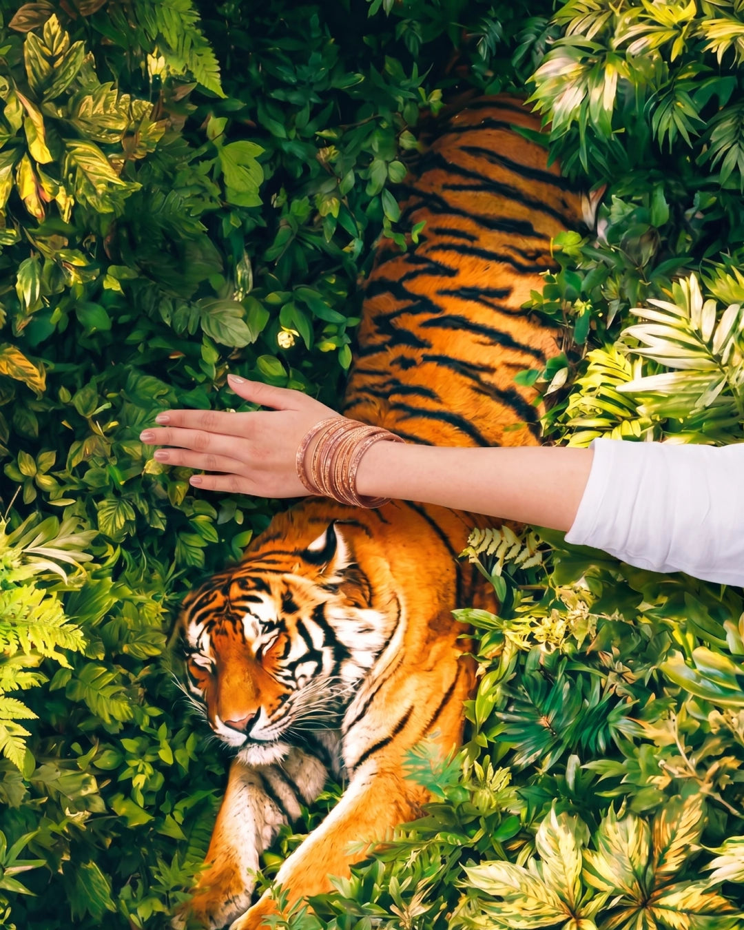 The Regal Wilderness Rug