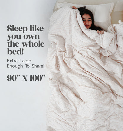 Midnight Air Threaded Comforter - Vanilla